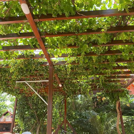 Plaisir Rooms Makriammos Εξωτερικό φωτογραφία
